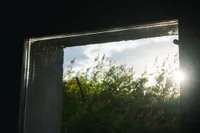 Gallery frame